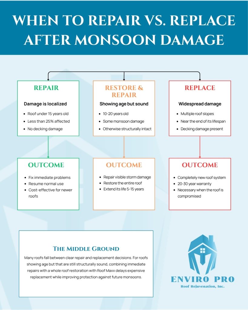 Monsoon damage repair restore replace infographic