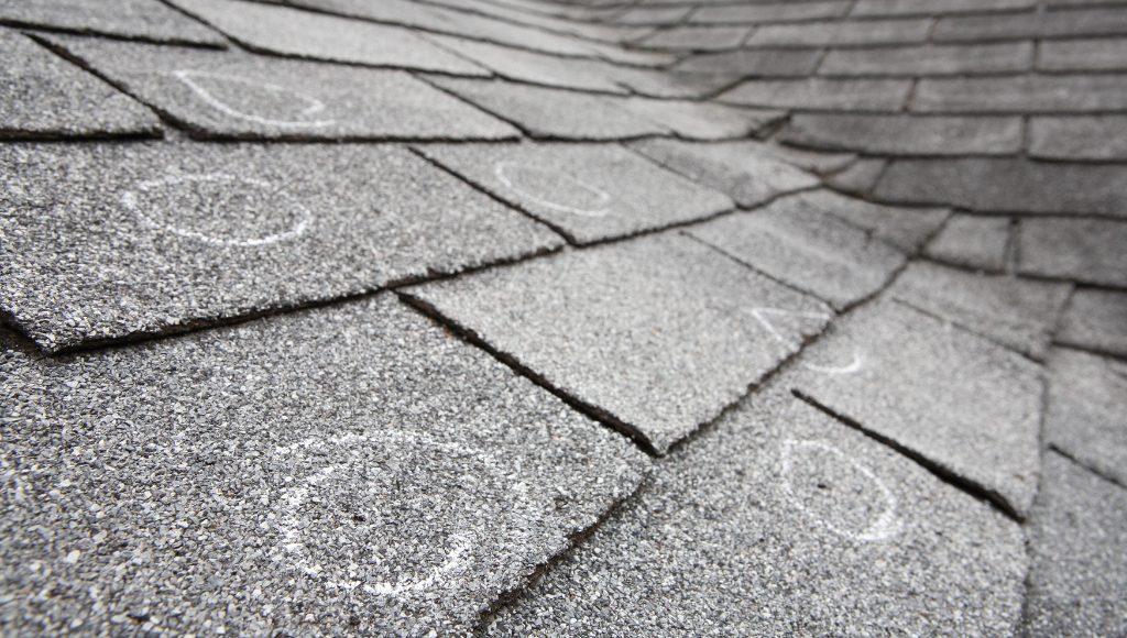 An asphalt shingle roof with visible hail impact marks circled in white chalk.