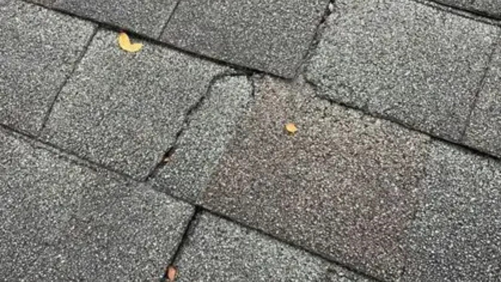 A close-up of an asphalt shingle with a large through-crack in it.