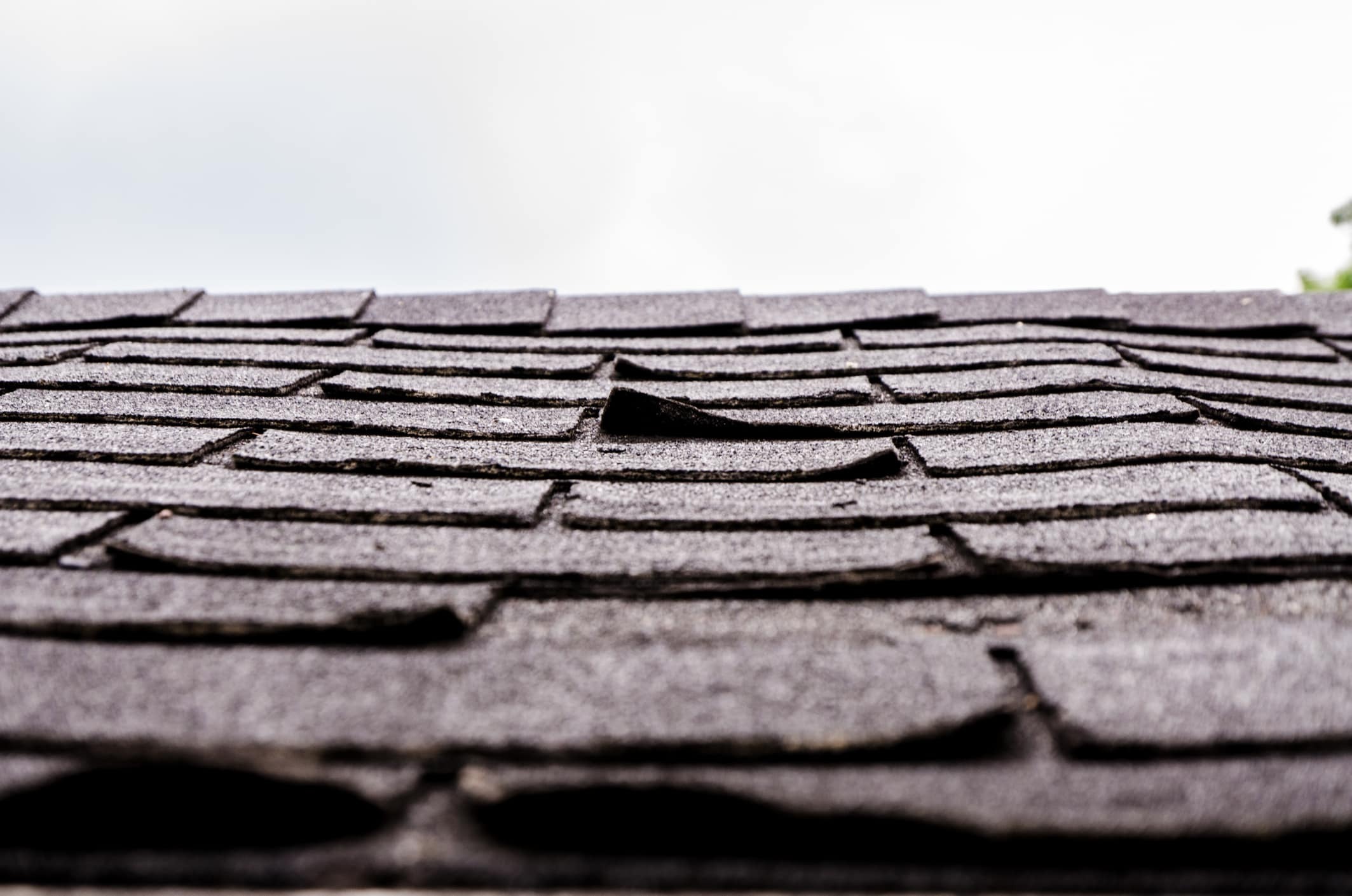 Asphalt shingles curling and lifting from age and UV damage
